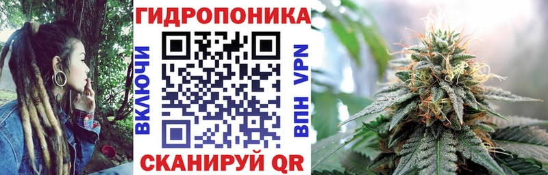 Канабис Ganja  даркнет сайт  Ачхой-Мартан 